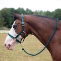Gallop Premium Padded Headcollar With Lead Rope Green additional 2