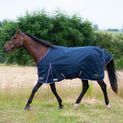 Gallop Trojan Duraproof 5-Point Std Lightweight Turnout Rug Navy additional 4