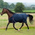 Gallop Trojan Duraproof 50g 5-Point Std Neck Turnout Turnout Rug Navy additional 4