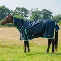 Gallop Trojan Duraproof Lightweight Turnout Combo Turnout Rug Navy additional 3