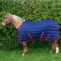 Whitaker R136 Thomas 250g Stable Rug Navy/Red additional 1