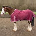 Gallop Summer Sheet Burgundy additional 1