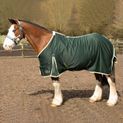 Gallop Summer Sheet Green additional 4