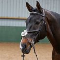Whitaker Br050a Eastwood Mexican Brile with Reins Havana Light Havana additional 2