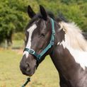 Gallop Headcollar &amp; Lead Rope Set Green additional 3