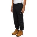 Dickies Cargo Twill Jogger Black additional 3