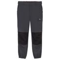 Dickies Cargo Twill Jogger Charcoal additional 5