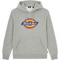 Dickies Icon Logo Hoodie Grey Melange additional 4