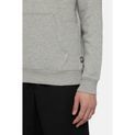Dickies Icon Logo Hoodie Grey Melange additional 7