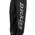 Dickies Okemo Graphic Sweatshirt Black additional 8