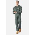 Dickies Redhawk Coverall Rain Forest additional 1