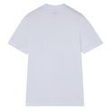 Dickies Short Sleeve Cotton T-Shirt White additional 6