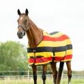 HyCONIC Newmarket Fleece Rug Yellow/Red/Black additional 2