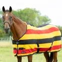 HyCONIC Newmarket Fleece Rug Yellow/Red/Black additional 6