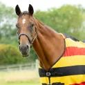 HyCONIC Newmarket Fleece Rug Yellow/Red/Black additional 3