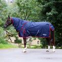 Whitaker R444 Rastrick V2 250g Turnout Rug Combo Navy additional 7