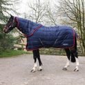 Whitaker R453 Rastrick V2 250g Stable Rug Combo Navy additional 10