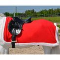 Hy Equestrian Christmas Santa Exercise Sheet - Red/White additional 2