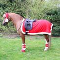 Hy Equestrian Christmas Santa Exercise Sheet - Red/White additional 1