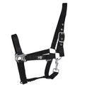 Hy Equestrian Economy Plus Head Collar - Kingfisher additional 1