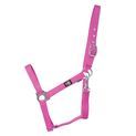 Hy Equestrian Economy Plus Head Collar - Kingfisher additional 3