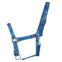 Hy Equestrian Economy Plus Head Collar - Kingfisher additional 5