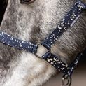 Hy Equestrian Elevate Allure Head Collar &amp; Lead Rope - Navy/Gun Metal Grey additional 3
