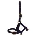Hy Equestrian Foal Head Collar - Red additional 2