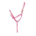 Hy Equestrian Foal Slip Halter additional 3