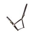 Hy Equestrian Leather Foal Head Collar - Brown additional 2