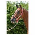 Hy Equestrian Multicolour Adjustable Head Collar with Rope - Grey/Pink/Mint additional 2