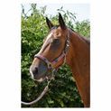 Hy Equestrian Multicolour Adjustable Head Collar with Rope - Grey/Pink/Mint additional 4