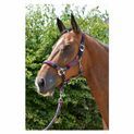 Hy Equestrian Multicolour Adjustable Head Collar with Rope - Grey/Pink/Mint additional 6