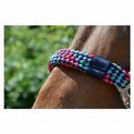 Hy Equestrian Multicolour Adjustable Head Collar with Rope - Grey/Pink/Mint additional 7