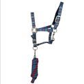 Hy Equestrian Tartan Head Collar with Lead Rope - Pink/Navy/Kingfisher Blue additional 3