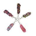 Hy Equestrian Three Toned Lead Rope - Red/Navy/Green additional 1