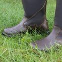 Hy Equestrian Tideswell Country Boot - Brown additional 9