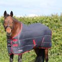 HyCONIC 250g Stable Rug - Charcoal/Red additional 2