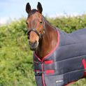 HyCONIC 250g Stable Rug - Charcoal/Red additional 3