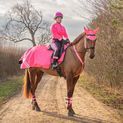 Reflector Fleece Exercise Sheet by Hy Equestrian - Pink additional 2
