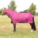 StormX Empra 200 Combi Turnout Rug - Purple additional 9