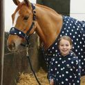 Supreme Products Dotty Fleece Head Collar &amp; Lead Rope - Noble Navy additional 1