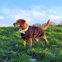 Supreme Products Royal Occasion Fleece Dog Coat - Black additional 8