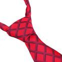 Supreme Products Show Tie - Red Check additional 4