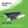 Hestevard BozMerix Paste additional 1