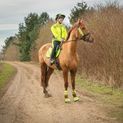 Reflector Bridle Bands by Hy Equestrian - Yellow additional 4