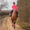 Reflector Ear Bonnet by Hy Equestrian - Pink additional 2
