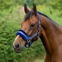 Hy Equestrian Dazzle Head Collar - Twilight Navy additional 2