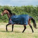 Gallop Trojan Duraproof 200g Turnout Turnout Rug Navy additional 6