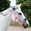 Whitaker Hc160 Club Headcollar &amp; Lead Rope Set Pink additional 3